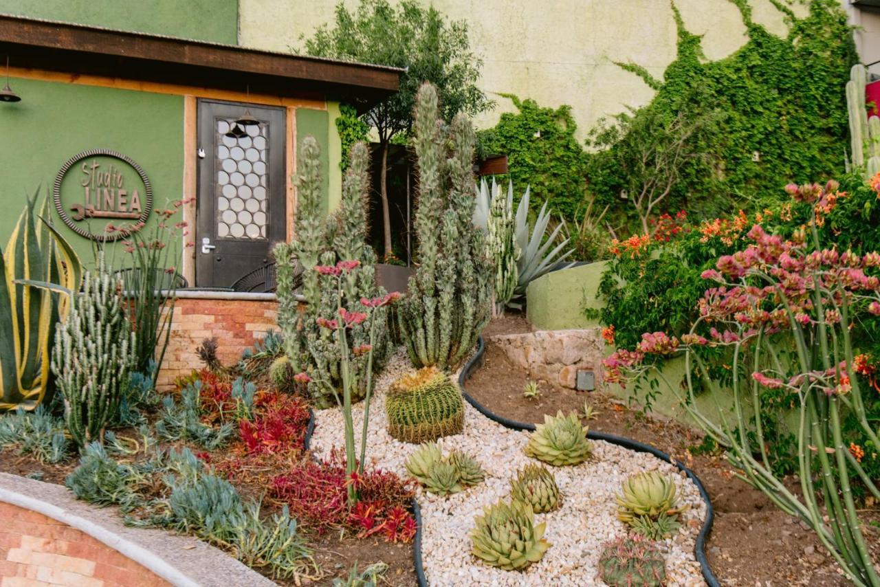 Aparthotel Terra Vista Guanajuato Zewnętrze zdjęcie