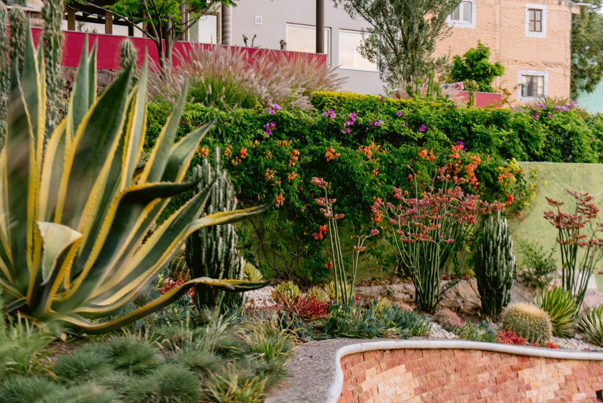 Aparthotel Terra Vista Guanajuato Zewnętrze zdjęcie